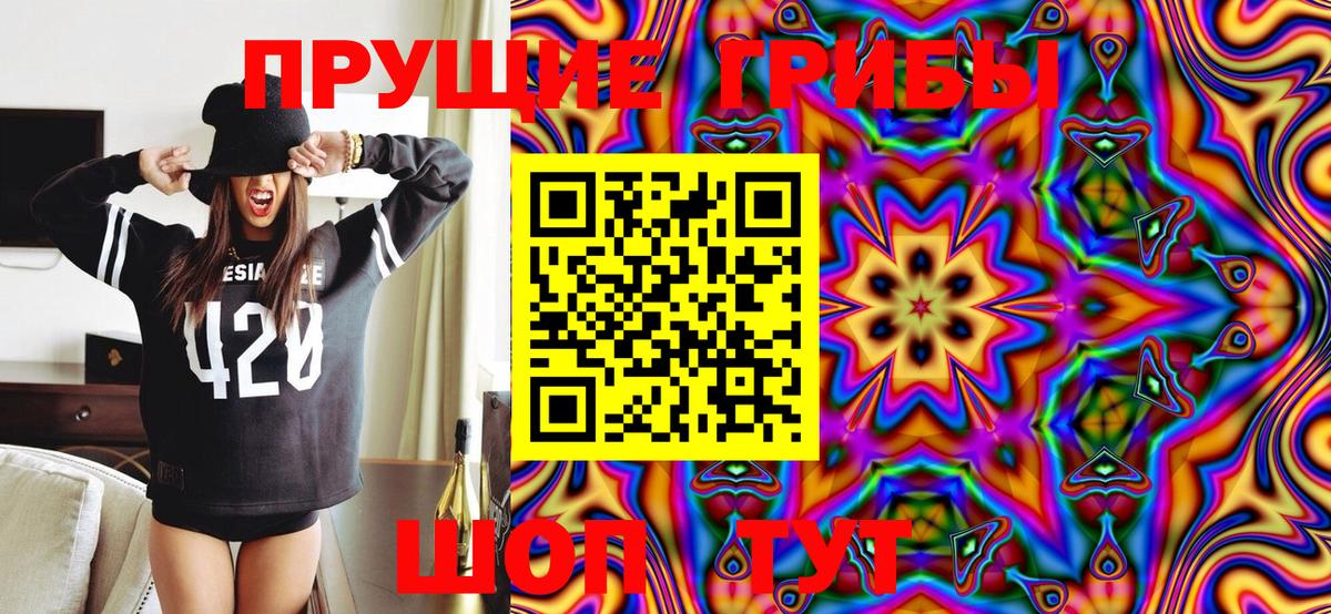 Галлюциногенные грибы Psilocybine cubensis Арзамас